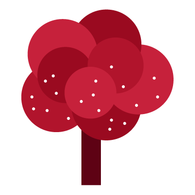 CHRT: Cherry trees